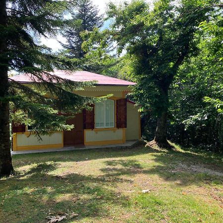Casa Del Castagno: Un Nido Nel Castagneto Vila Pistoia Exterior foto