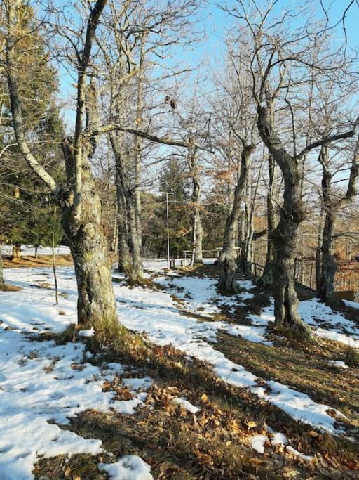 Casa Del Castagno: Un Nido Nel Castagneto Vila Pistoia Exterior foto