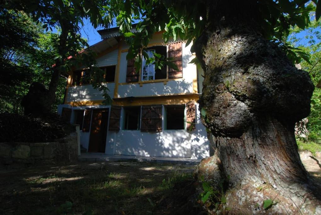 Casa Del Castagno: Un Nido Nel Castagneto Vila Pistoia Exterior foto